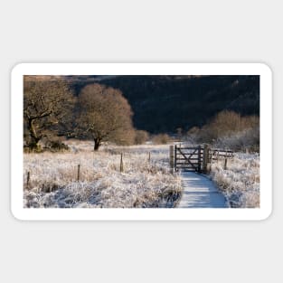 Winter at Park Neb Sticker